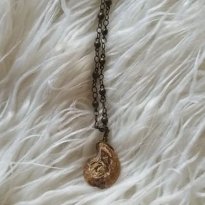 Fossil shell necklace
